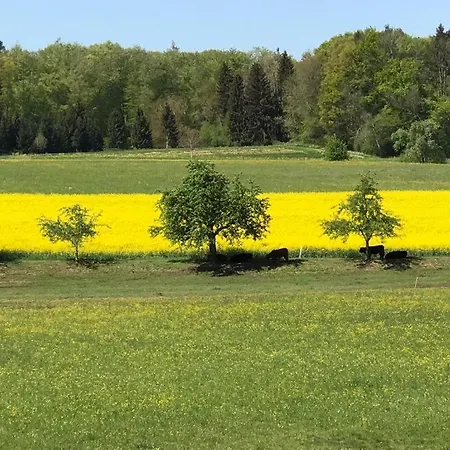 Oberdorf Lägenhet *