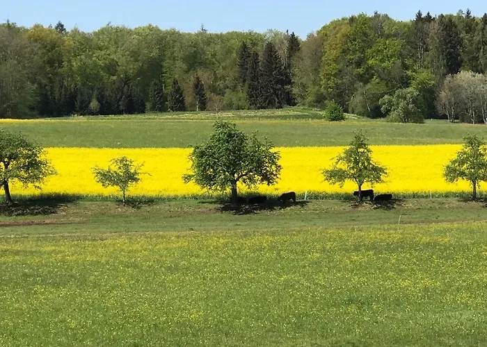 Oberdorf Apartmán *